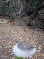 0 Fleming Creek - Photo 9