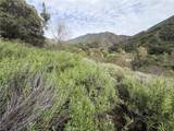 0 Ladd Canyon - Photo 16
