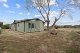 6142 Rare Rabbit Avenue - Photo 40