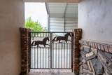 1609 Santa Margarita Drive - Photo 47