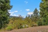 39566 Clearwater Drive - Photo 27
