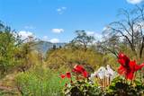39566 Clearwater Drive - Photo 8
