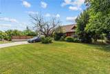 7229 De Celis - Photo 4