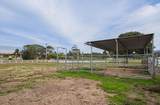 310 Mesa Road - Photo 65