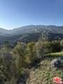 0 Topanga Skyline Drive - Photo 10