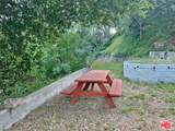 1710 Topanga Skyline Drive - Photo 7