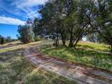 4505 4 X Ranch Road - Photo 41
