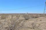 112 Off Highway 395 And Buckthorne Canyon - Photo 2