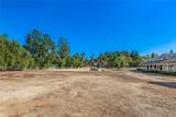 5547 Paradise Valley Road - Photo 4