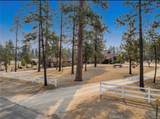 35650 Pyramid Peak Rd - Photo 10
