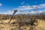 5610 Yucca Mesa Road - Photo 11