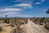 5610 Yucca Mesa Road - Photo 16
