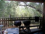 1248 Rocky Road - Photo 69