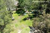 13624 Palomino Creek - Photo 42