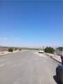 5333 Baileya - Photo 4