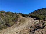 25858 Mulholland - Photo 5