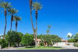 72128 Palm Crest Drive - Photo 30