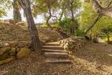 300 Santa Ana Street - Photo 43