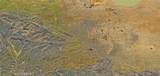 39 213 Street - Photo 14