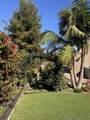 1838 El Jardin Ct - Photo 46