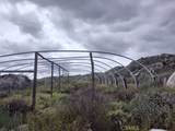 2 California - Photo 3