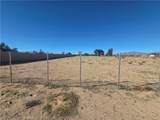 43070 Duntroon - Photo 10