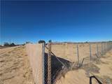 43070 Duntroon - Photo 4