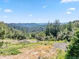 22981 Highway 17 - Photo 1