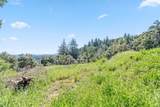 22981 Highway 17 - Photo 24