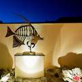 27082 Malibu Cove Colony Drive - Photo 17