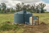33041 Briggs Road - Photo 53