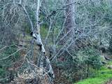0 Snowy Creek Way - Photo 2
