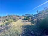 14733 Dove Drive - Photo 4