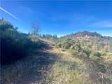 14733 Dove Drive - Photo 5