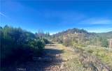 14733 Dove Drive - Photo 7