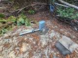 20604 Little Basin Road - Photo 13