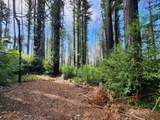 20604 Little Basin Road - Photo 14