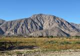  Borrego Springs Road - Photo 1