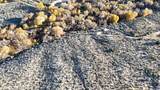 2 Fremont - Photo 6