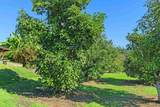 363 Tumble Creek Ln - Photo 56