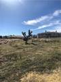 0 Vac/Vic Avenue M14/35Th Stw - Photo 4