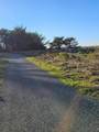 0 Rose Avenue - Photo 5