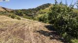 12610 Clayton Rd - Photo 14