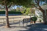 16039 Via Del Alba - Photo 45