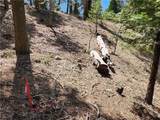 586 Rose - Photo 16