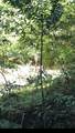 0 Visitar Street - Photo 1