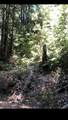 0 Visitar Street - Photo 2