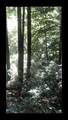 0 Visitar Street - Photo 5