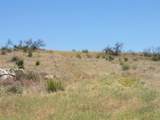 34679 Old Hwy 80 - Photo 5
