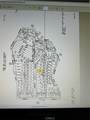 0 Locust Avenue - Photo 1